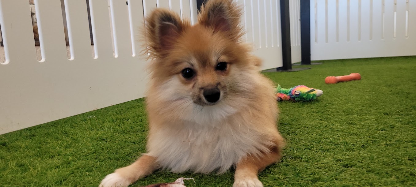 Maddie Image #2
