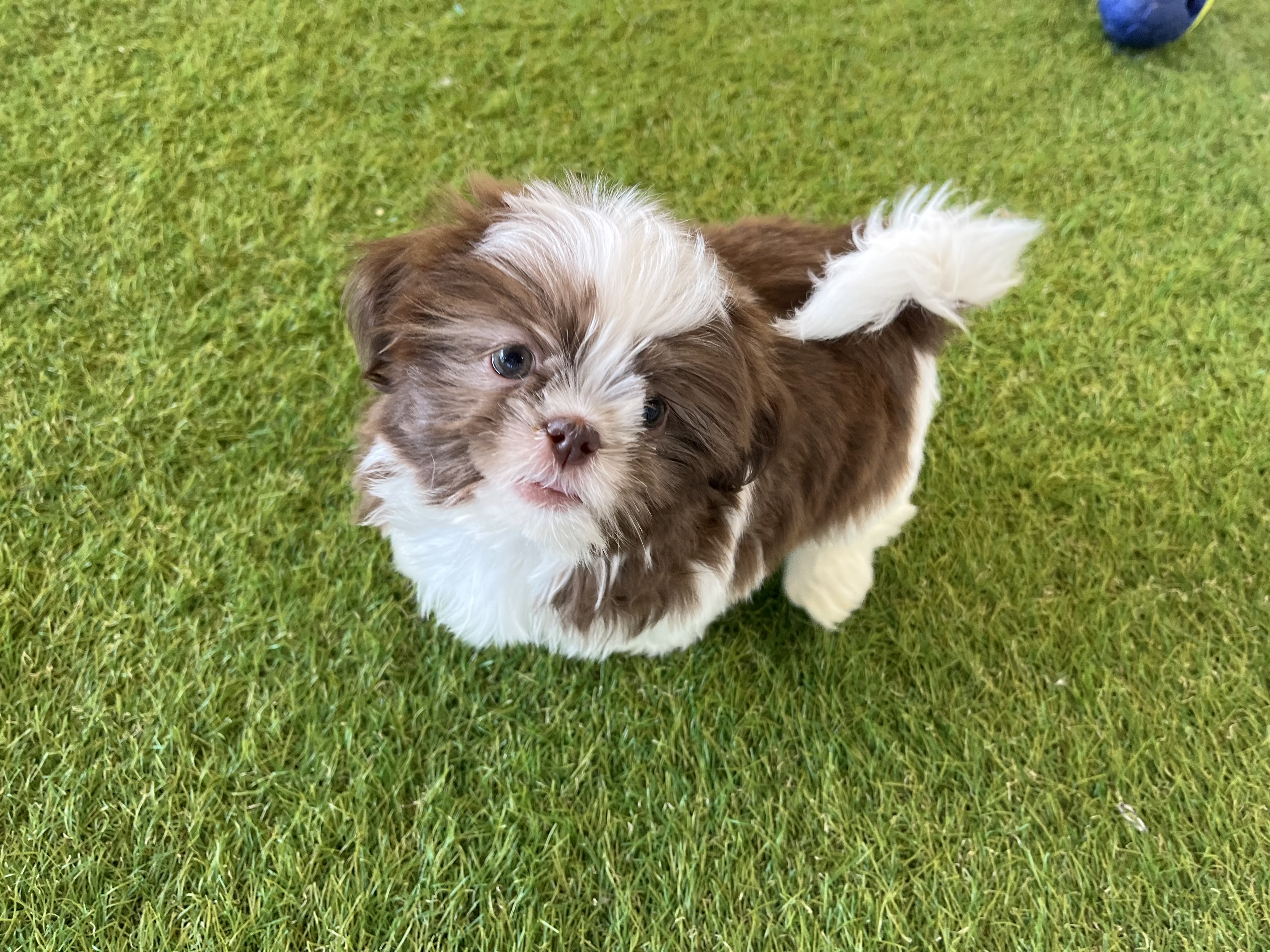 Abby Image #2