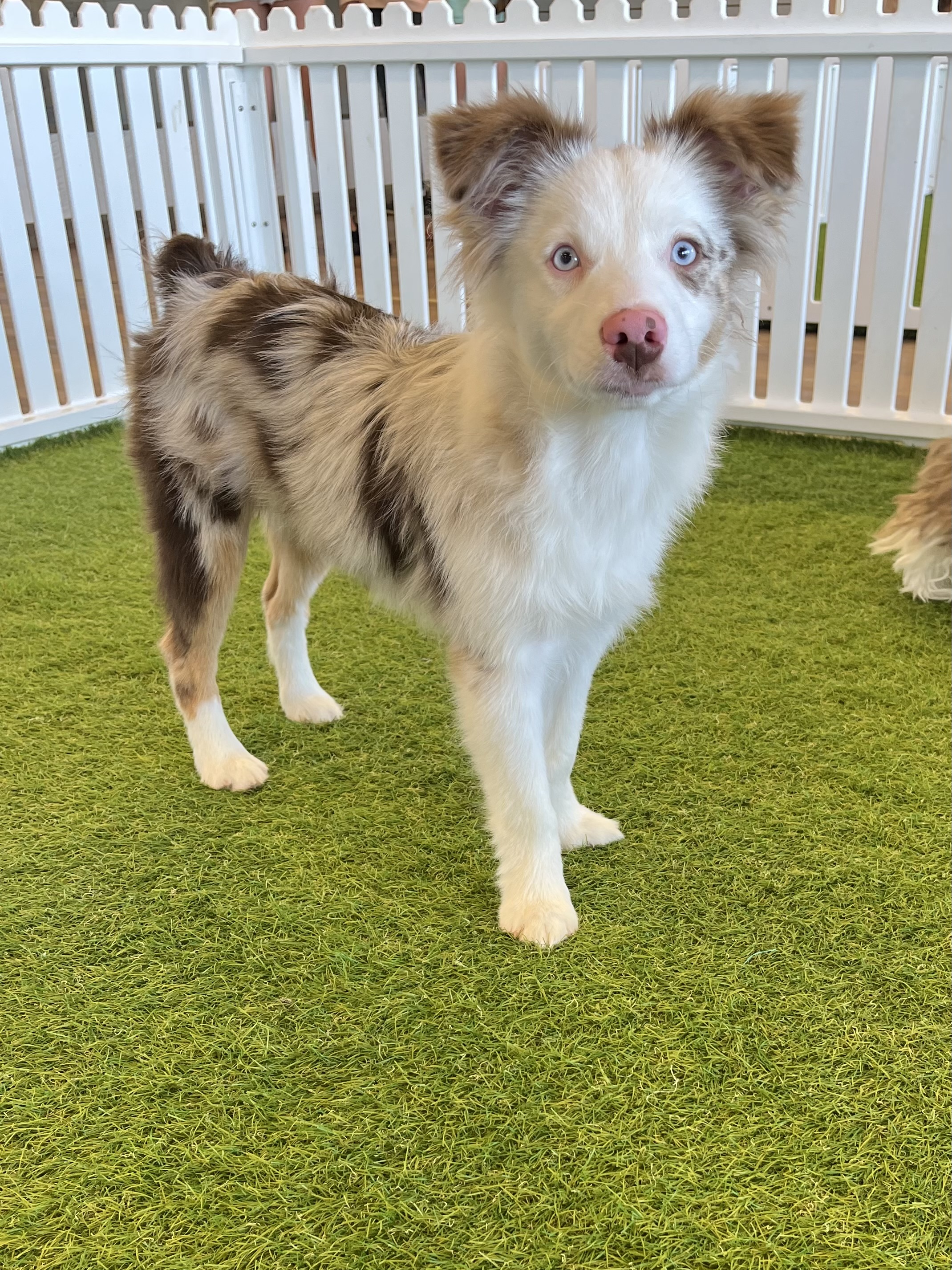 Nala Image #17