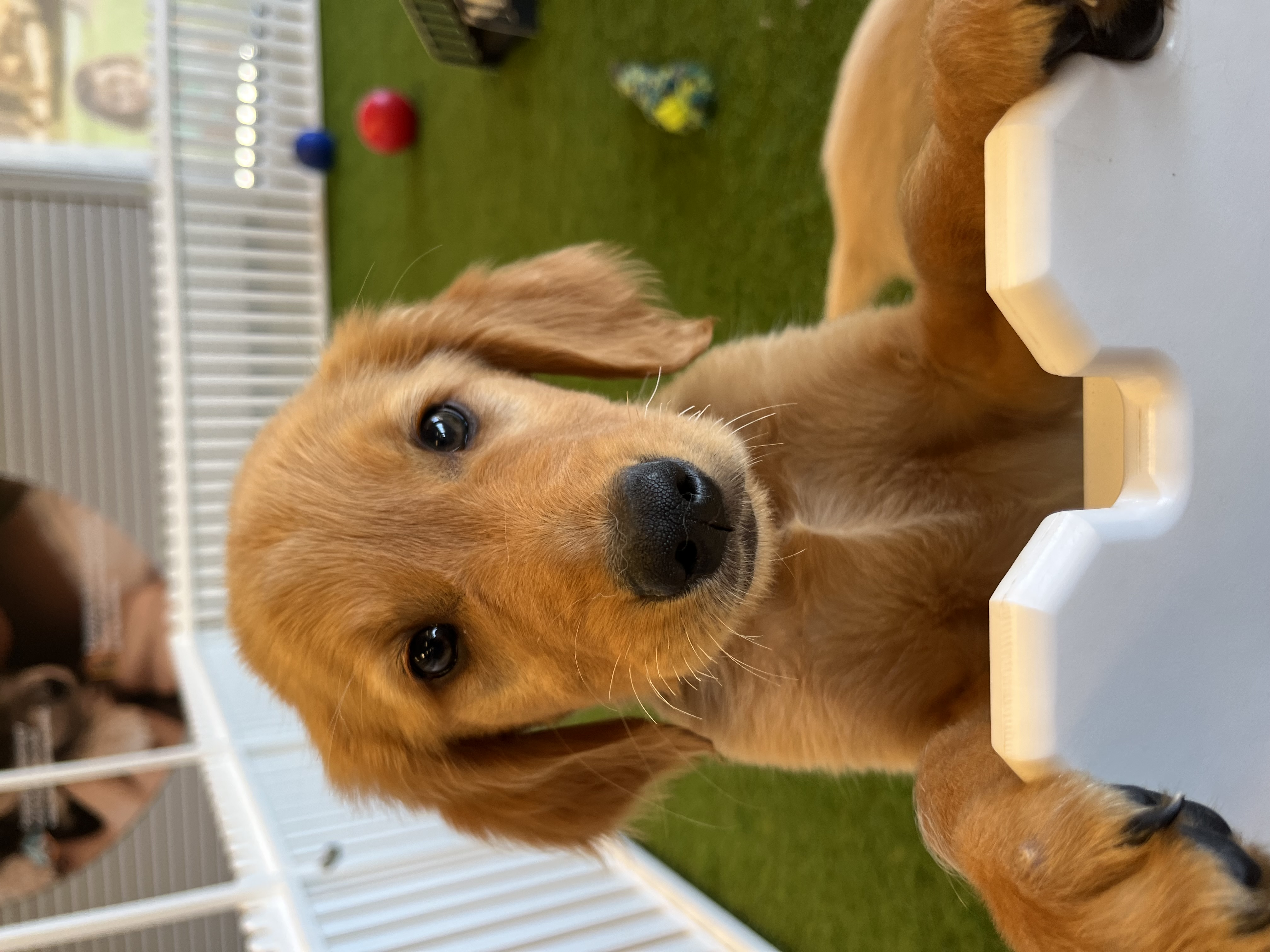 Parker Image #2