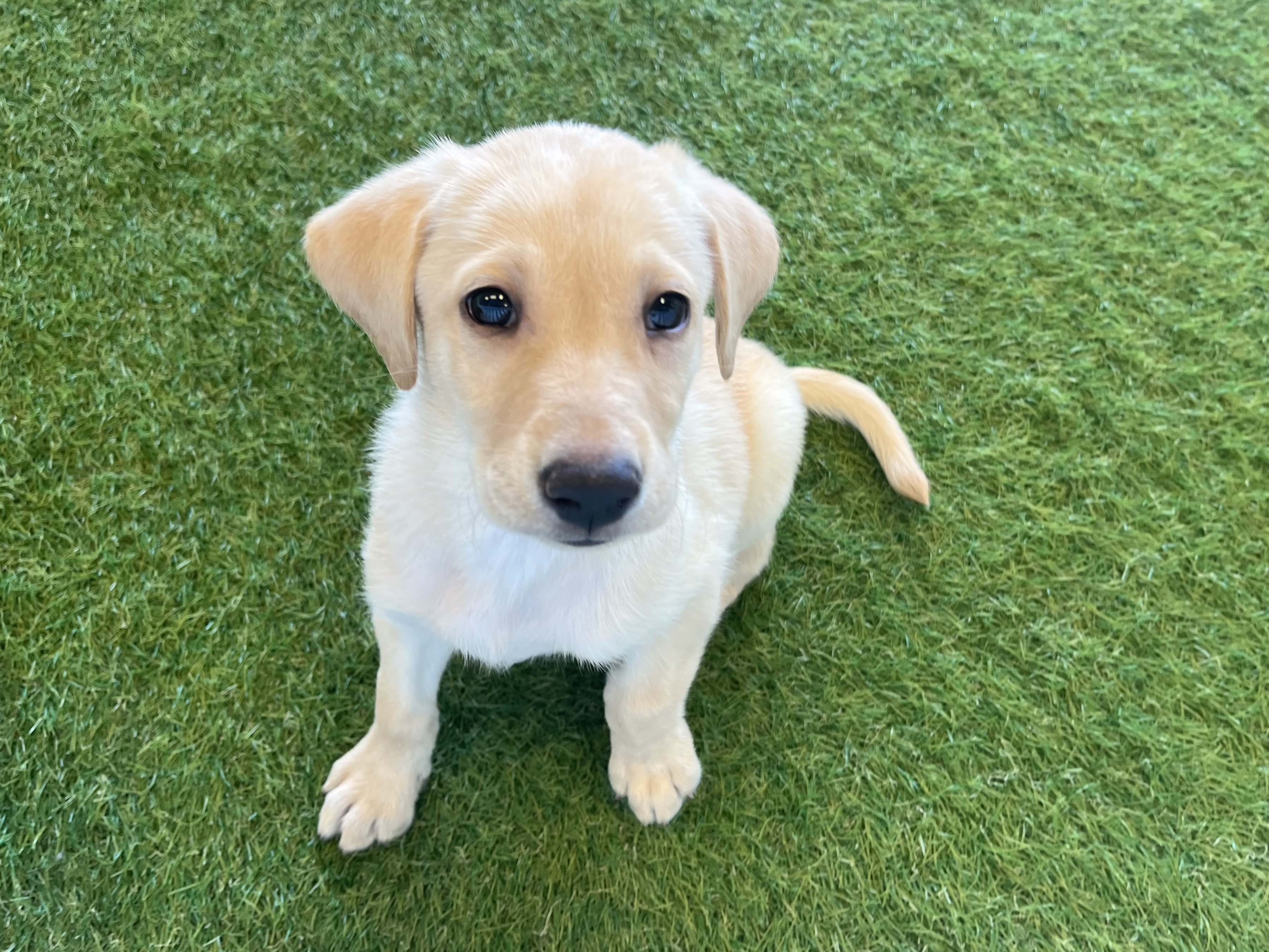 Maggie Image #4