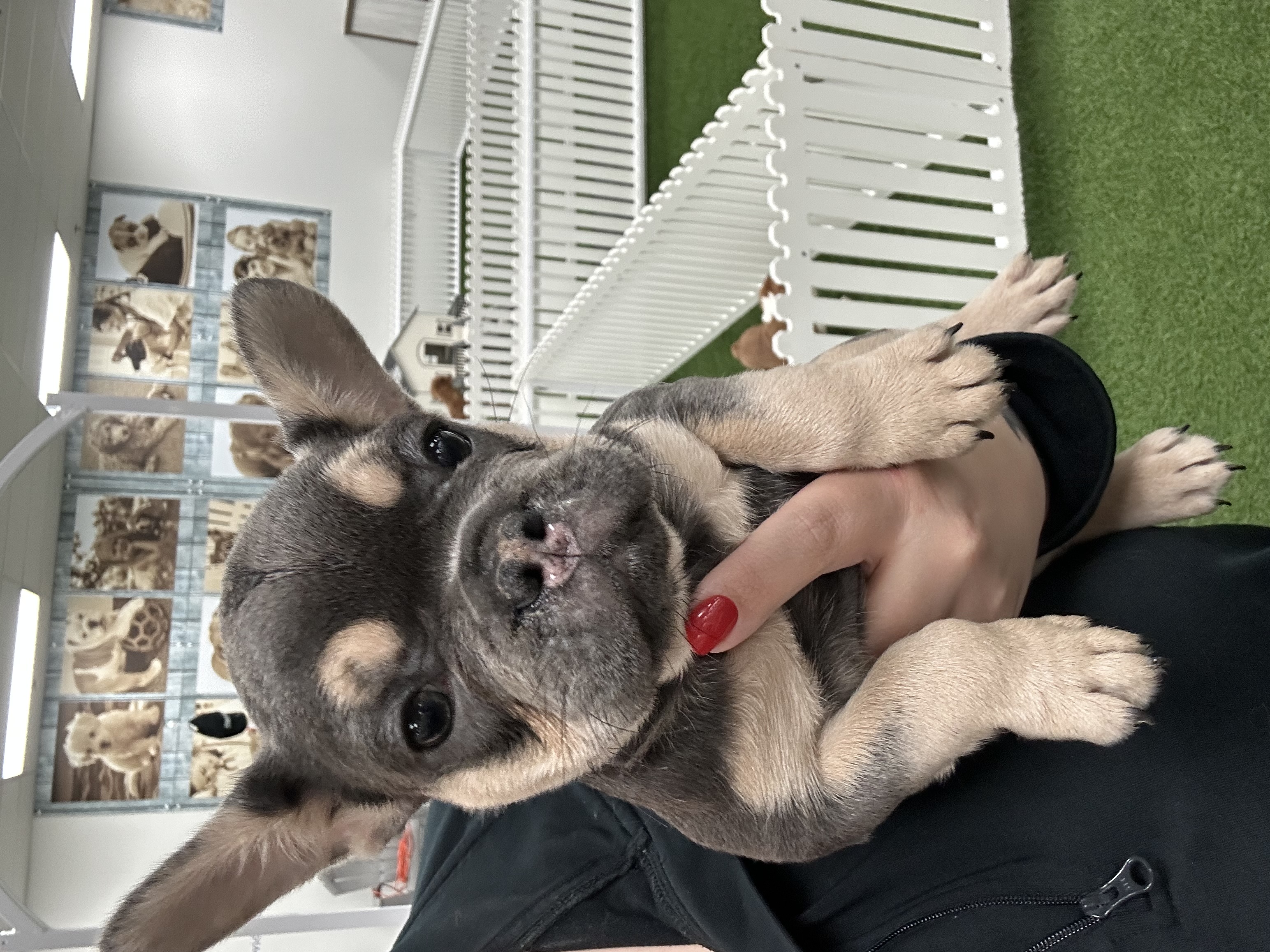 Sophie Image #1