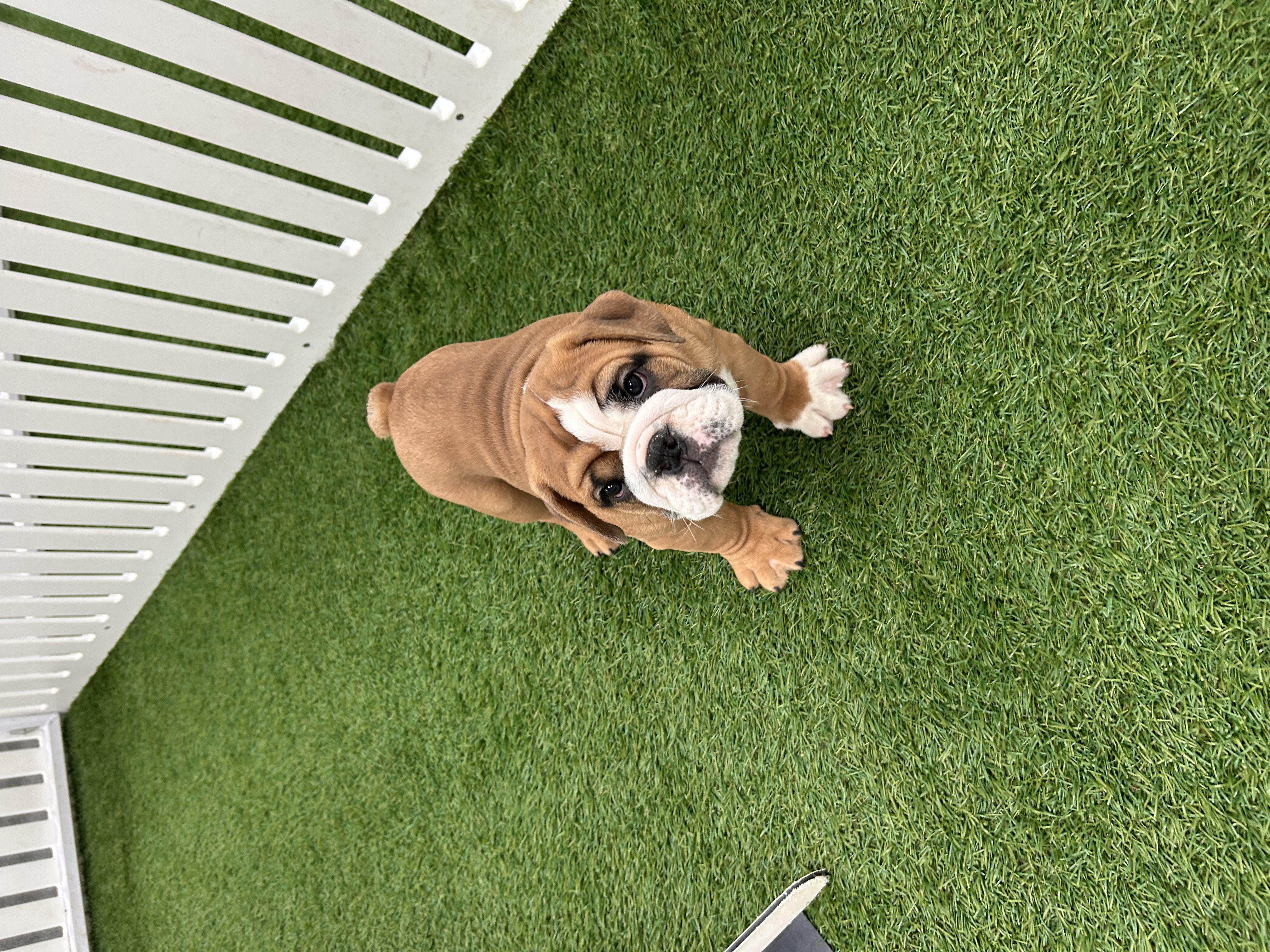Tater Image #1