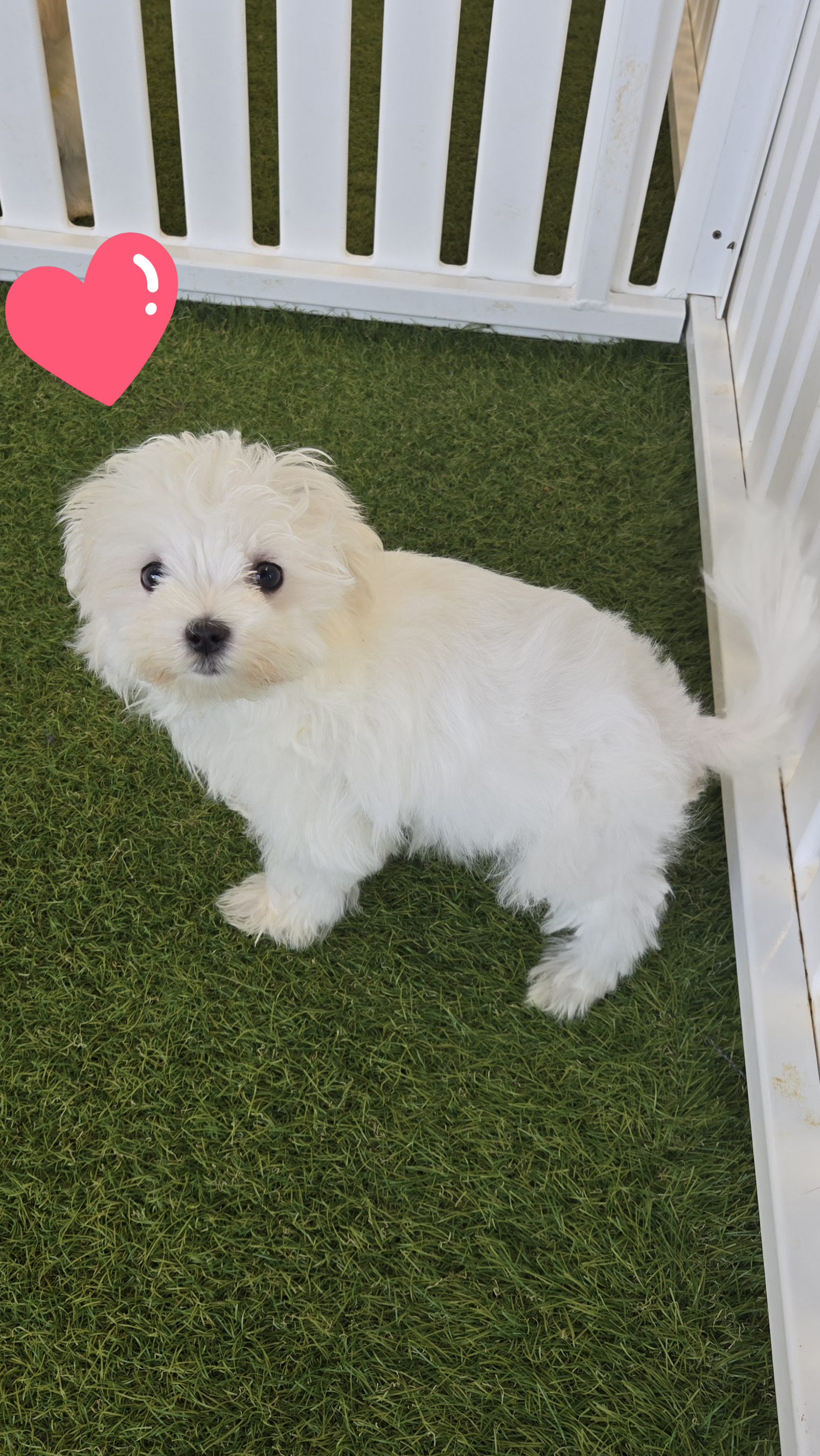 Casper Image #2