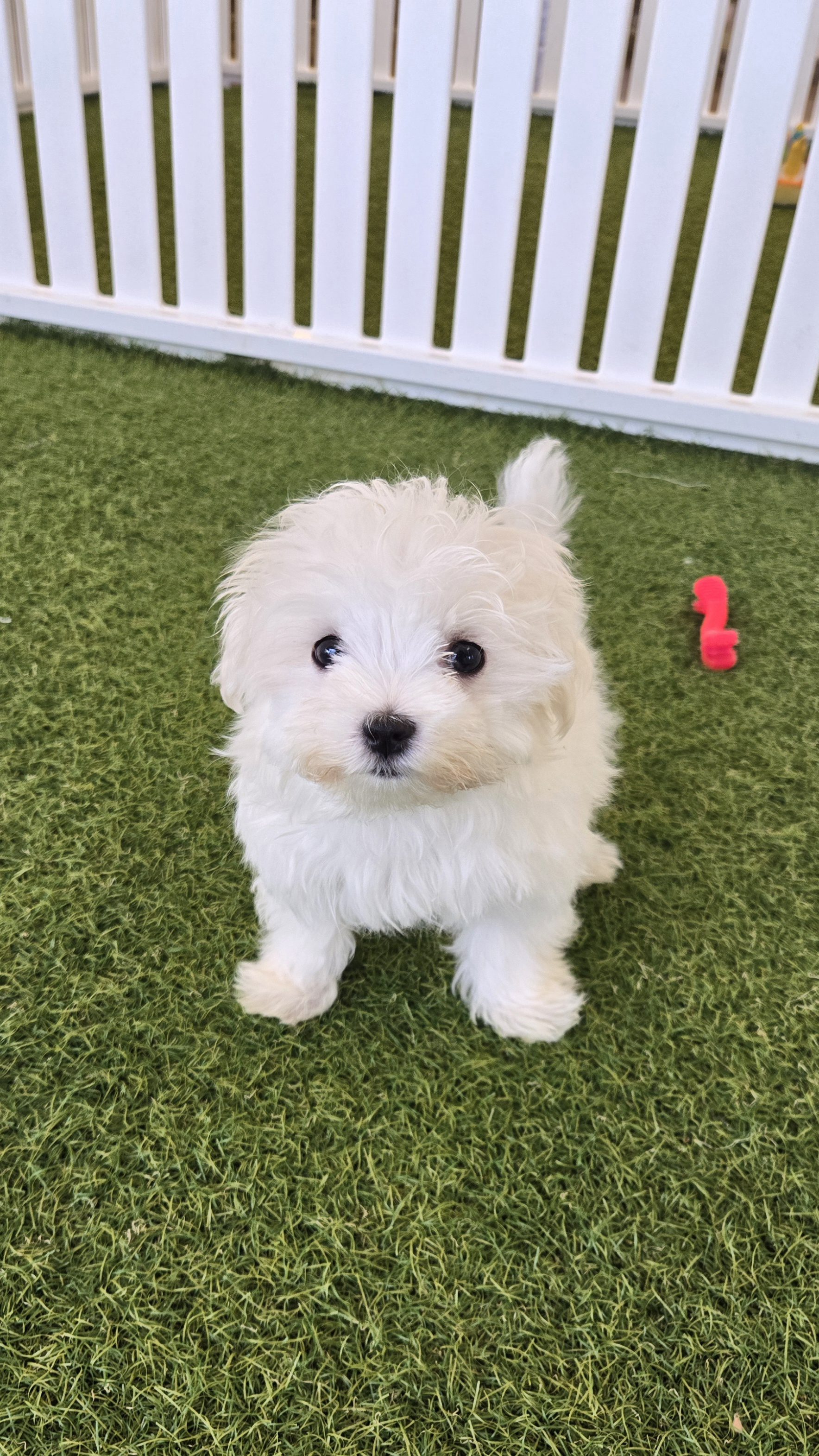 Casper Image #1