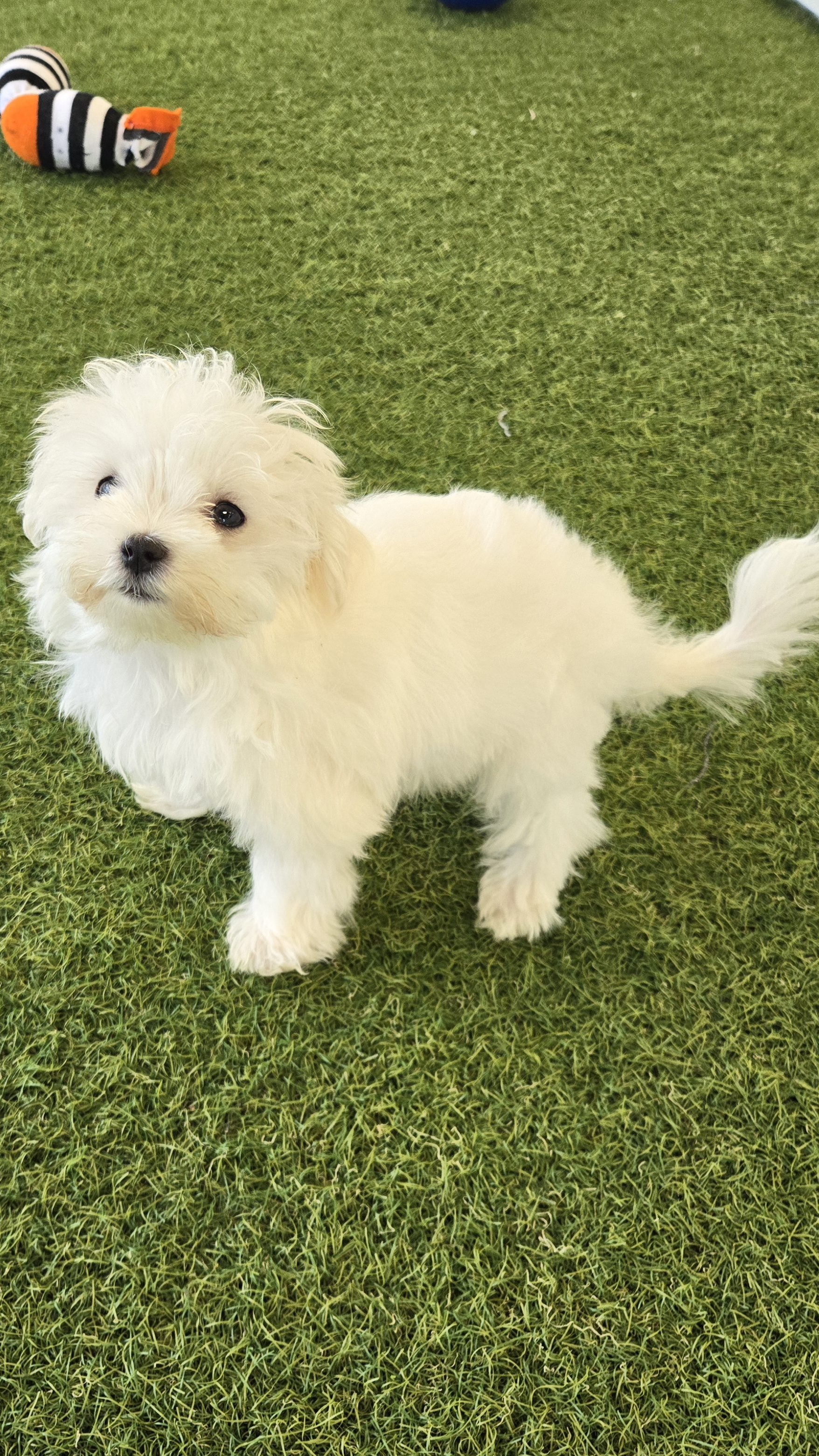 Casper Image #3