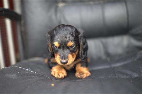 Crouton Image #1
