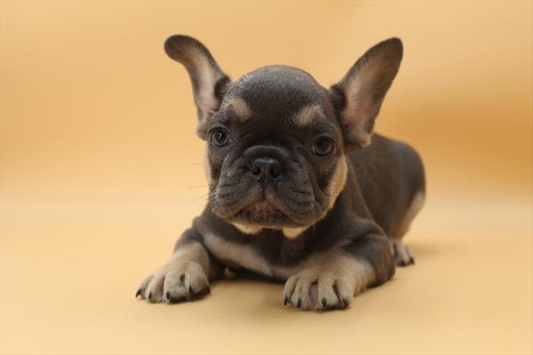 Slate Image #1