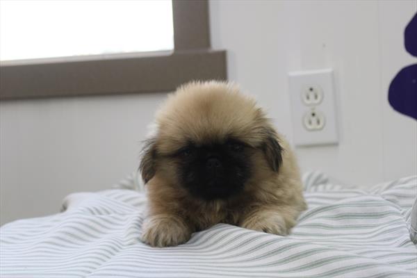 Nori Image #1