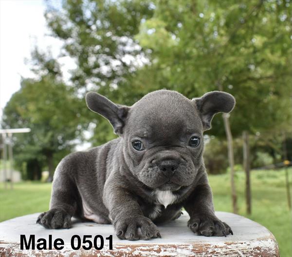 zeus Image #1