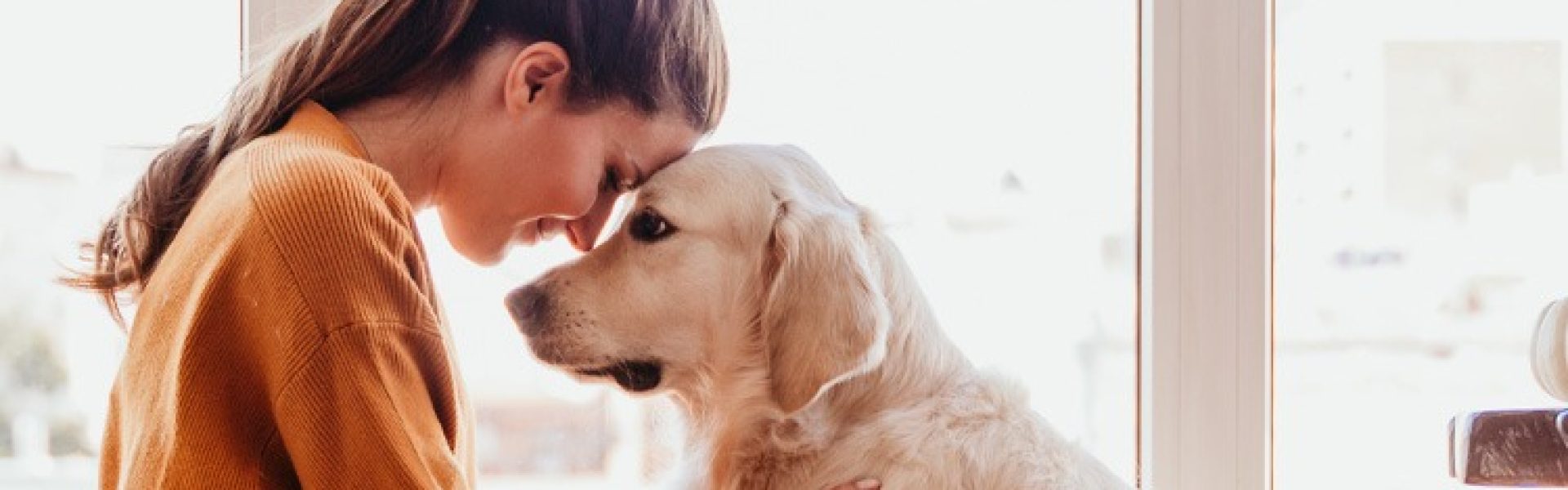 woman consoling dog